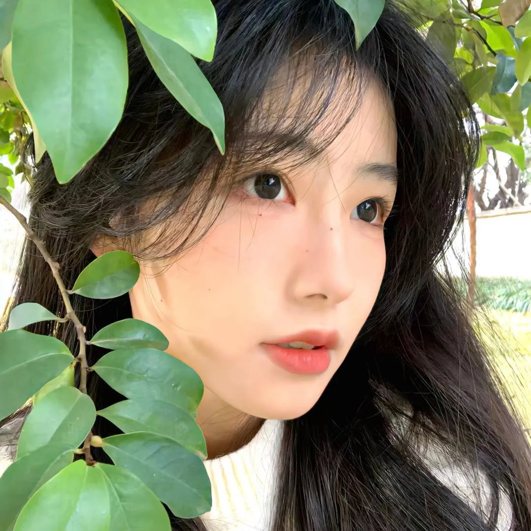 人海浪蝶